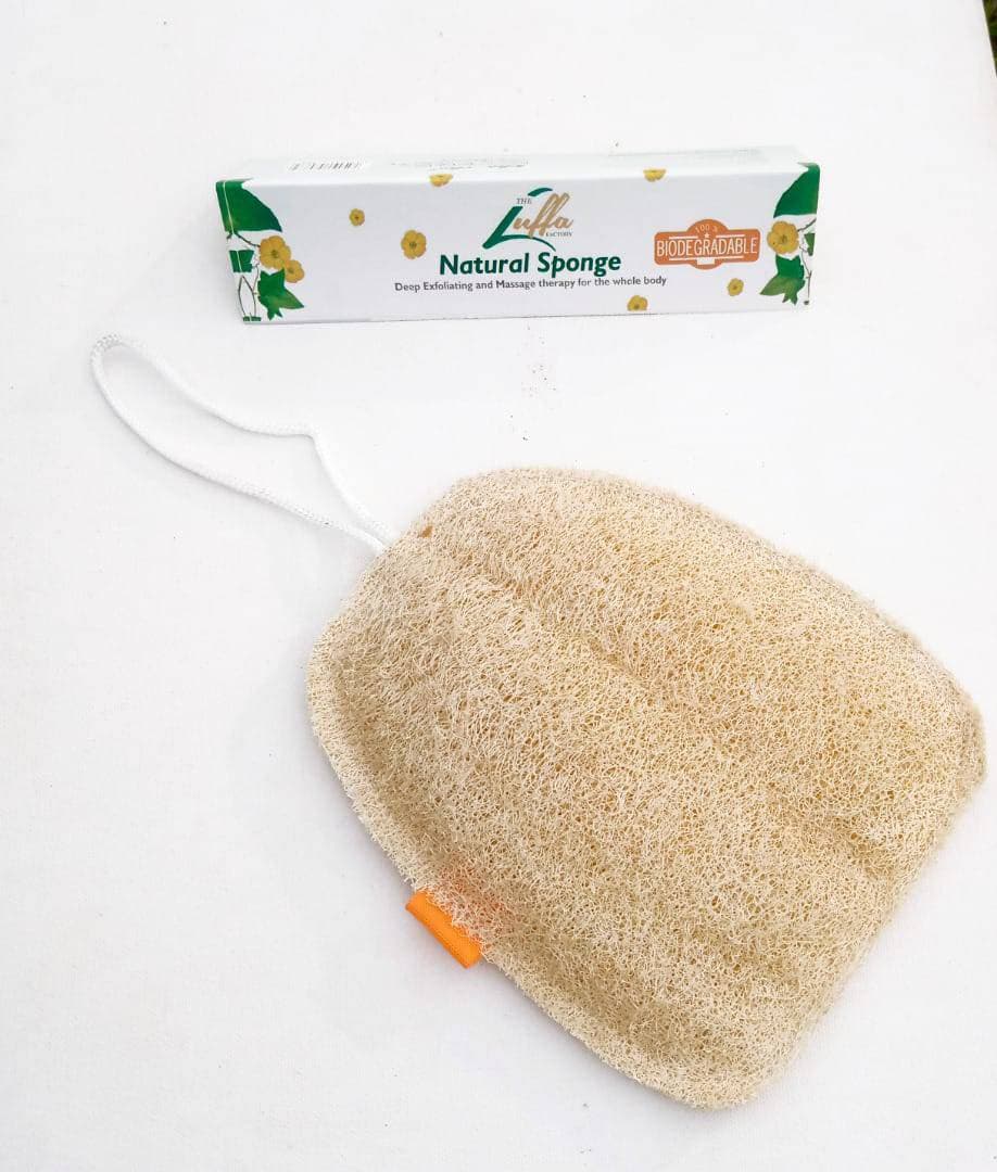 Natural Luffa Sponge